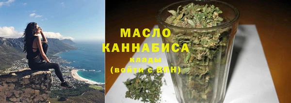 ГАЛЛЮЦИНОГЕННЫЕ ГРИБЫ Дмитриев