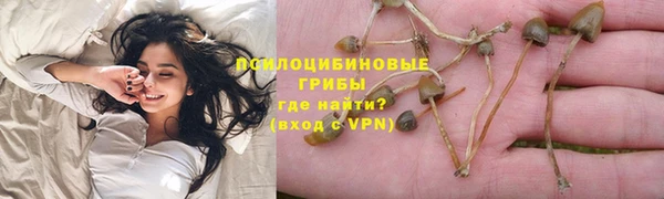 соль ск Горняк