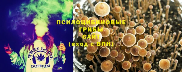 марки nbome Горнозаводск