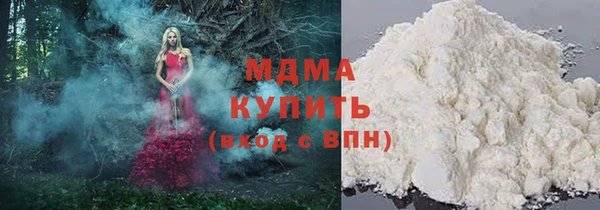 ГАЛЛЮЦИНОГЕННЫЕ ГРИБЫ Дмитриев