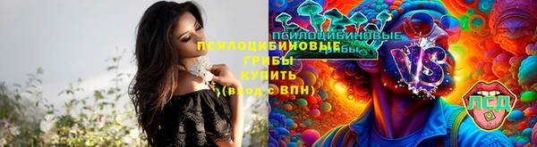 соль ск Горняк