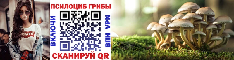 Купить где  Славск  Псилоцибиновые грибы Magic Shrooms 